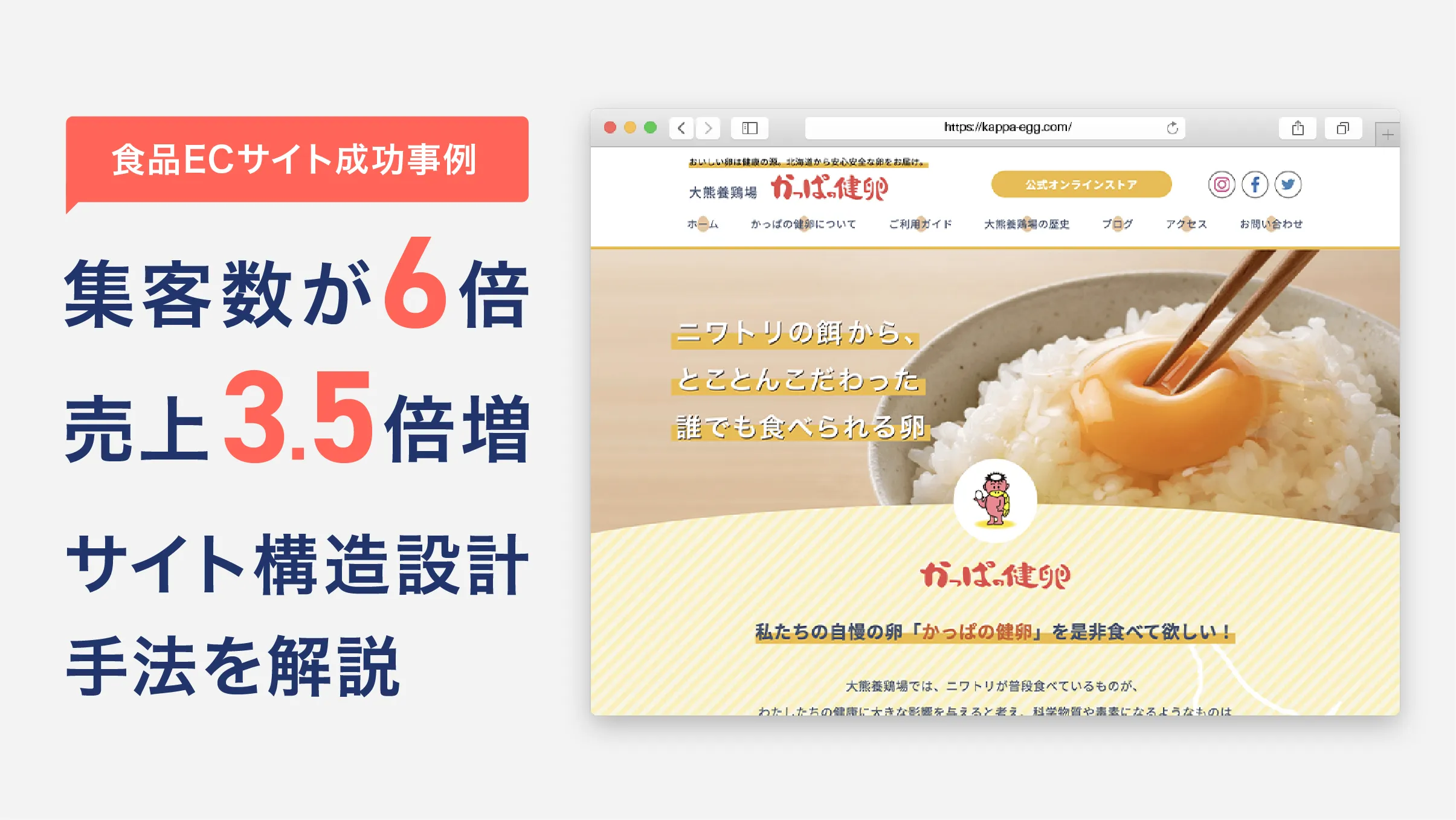 【食品ECサイト成功事例】集客数が6倍、売上3.5倍増となったサイト構造設計手法を解説